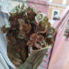 Foimpex - Hortensia artificial de tela - verde