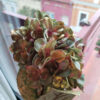 Foimpex - Hortensia artificial de tela - verde