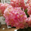 Belda - Flor artificial syringa - rosa